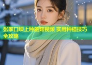 张家口坝上种蘑菇视频 实用种植技巧全攻略