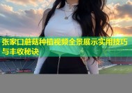 张家口蘑菇种植视频全景展示实用技巧与丰收秘诀