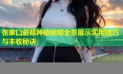 张家口蘑菇种植视频全景展示实用技巧与丰收秘诀