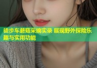 徒步车蘑菇采摘实录 展现野外探险乐趣与实用功能