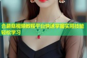 合蘑菇视频教程平台快速掌握实用技能轻松学习