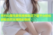 农村山里捡蘑菇视频高清下载平台轻松获取自然采摘精彩瞬间