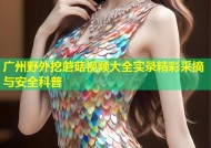 广州野外挖蘑菇视频大全实录精彩采摘与安全科普