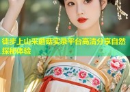 徒步上山采蘑菇实录平台高清分享自然探秘体验
