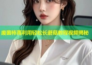 废菌棒再利用轻松长蘑菇教程视频揭秘
