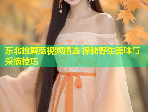 东北捡蘑菇视频精选 探秘野生美味与采摘技巧  第1张