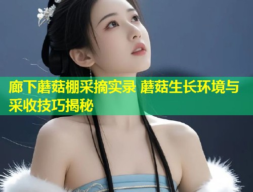 廊下蘑菇棚采摘实录 蘑菇生长环境与采收技巧揭秘  第1张