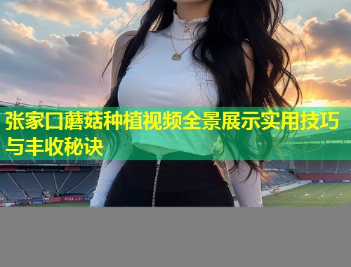 张家口蘑菇种植视频全景展示实用技巧与丰收秘诀  第1张